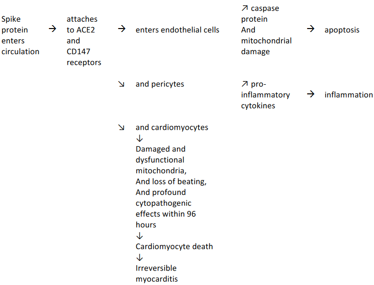 PDMJ: Primary Doctor Medical Journal